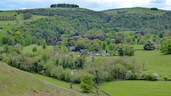 view